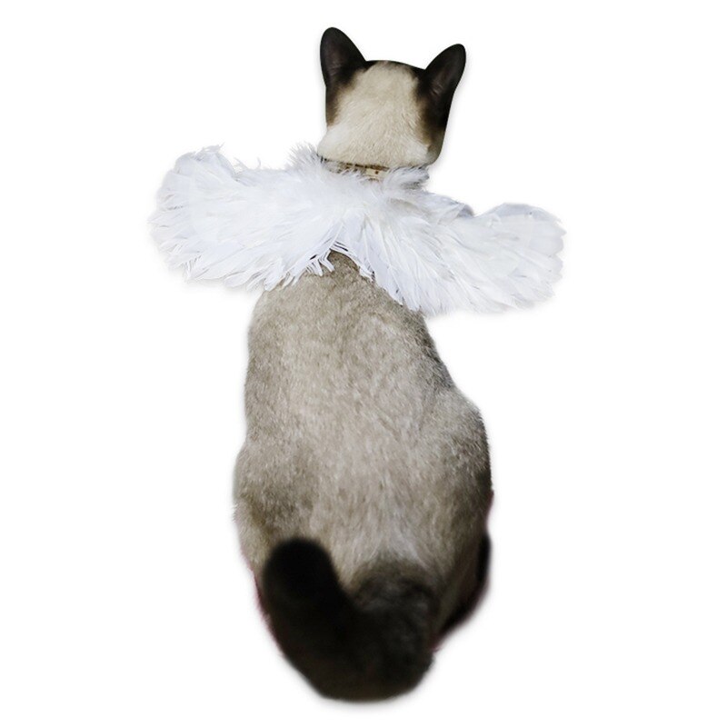 Feather Dog Wings Pet Costume Feather Dog Wings Pet Costume