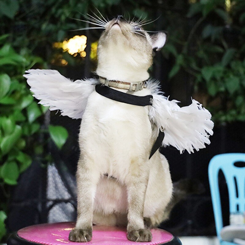 Feather Dog Wings Pet Costume Feather Dog Wings Pet Costume