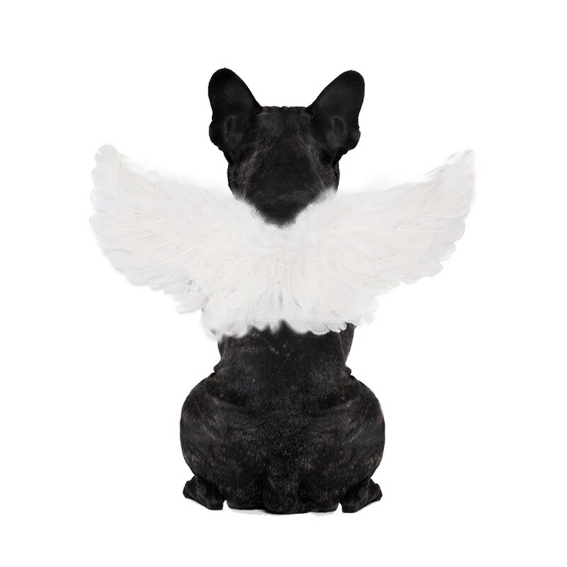 Feather Dog Wings Pet Costume Feather Dog Wings Pet Costume