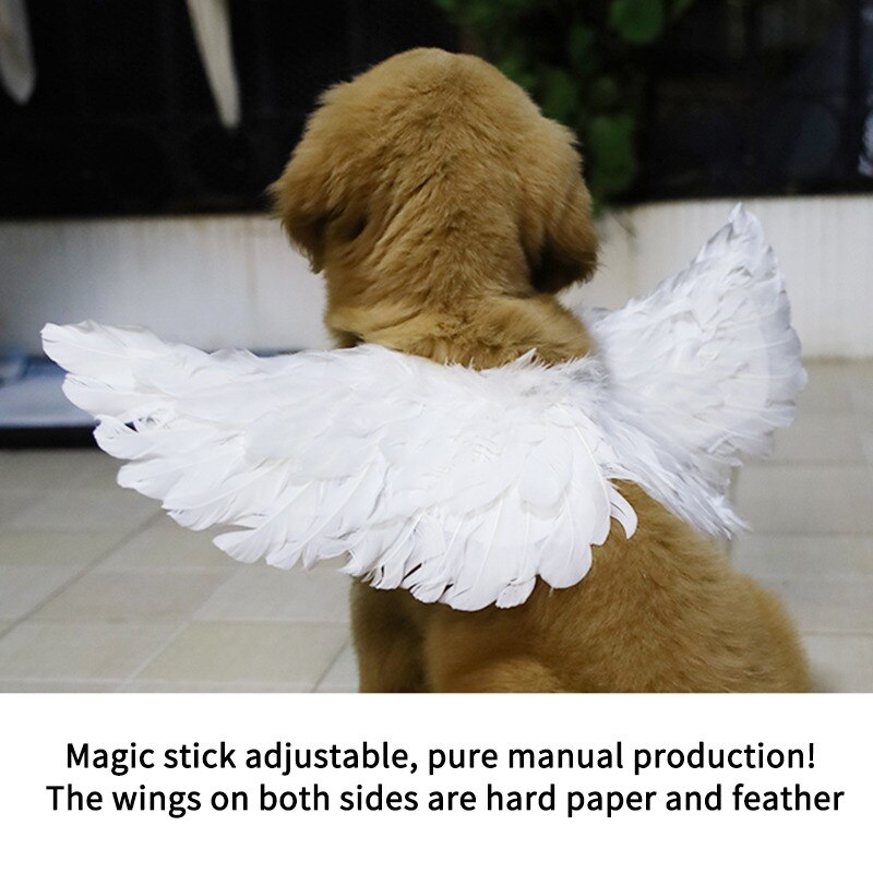 Feather Dog Wings Pet Costume Feather Dog Wings Pet Costume