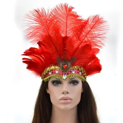 Feather Festival Headdress Accessory Feather Festival Headdress Accessory