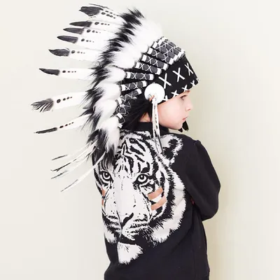 Feather Native American Headdress Feather Native American Headdress
