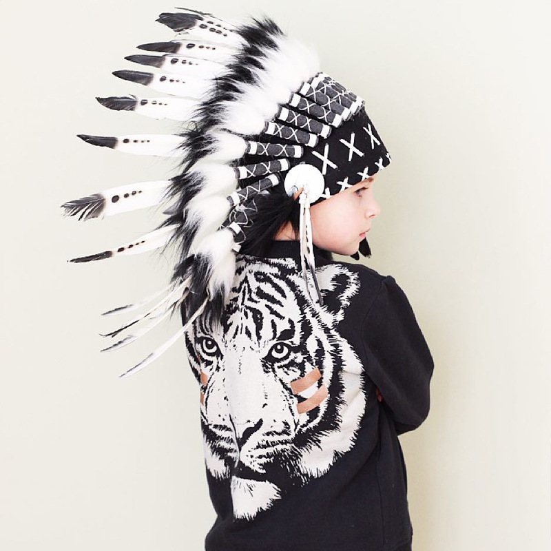 Feather Native American Headdress Feather Native American Headdress