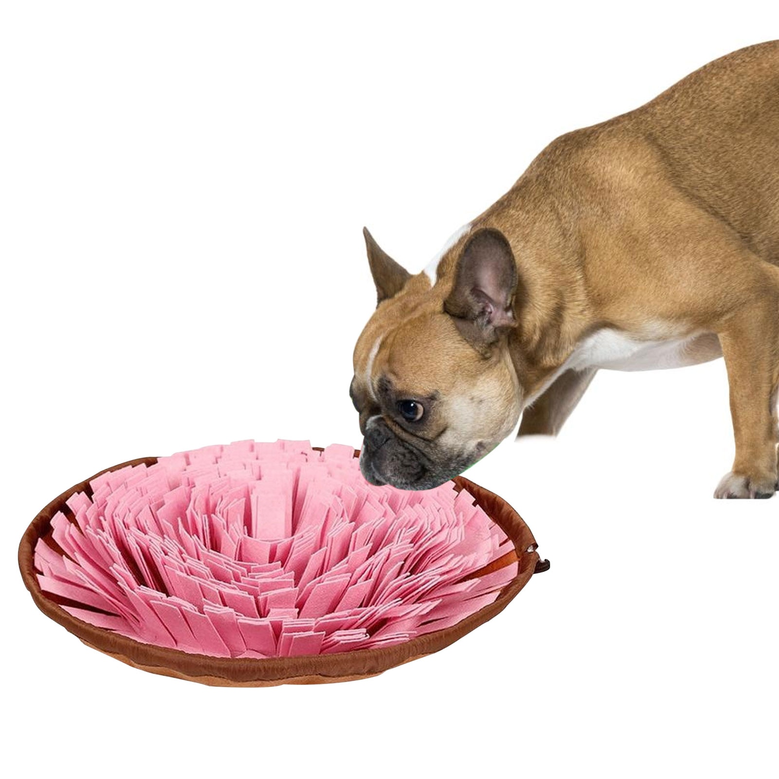 Feed Training Dog Sniffing Mat Feed Training Dog Sniffing Mat