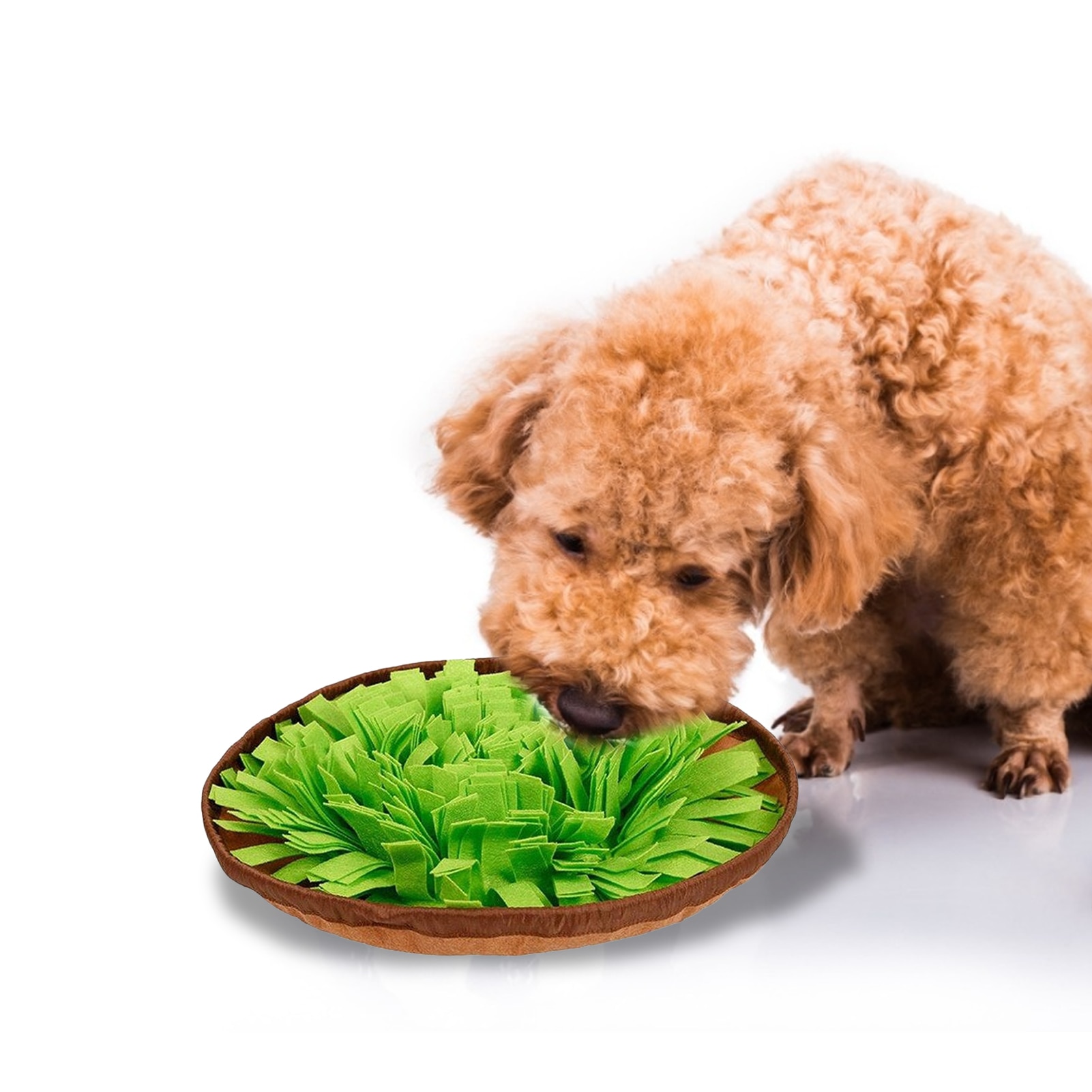 Feed Training Dog Sniffing Mat Feed Training Dog Sniffing Mat