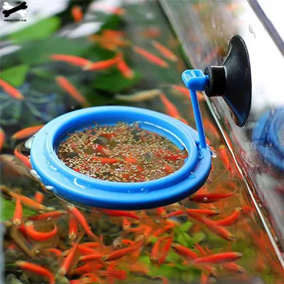 Feeding Ring with Suction Cup Feeding Ring with Suction Cup