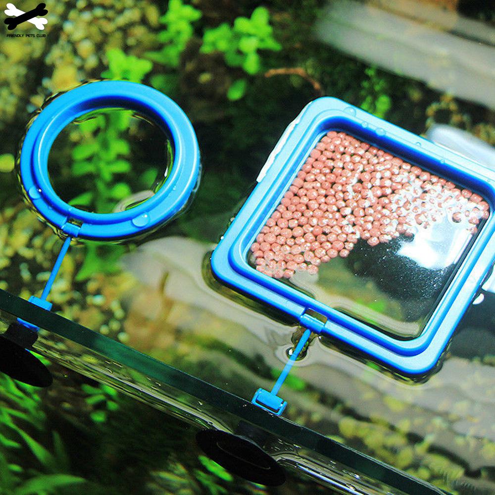 Feeding Ring with Suction Cup Feeding Ring with Suction Cup