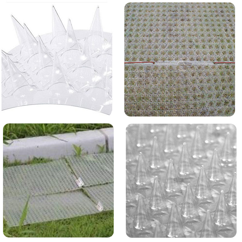 Fence Wall Spikes Cat Animal Repellent Plastic Anti Pigeon Deterrent For Garden Fences Invader Bird Spike Dog Repeller Fence Wall Spikes Cat Animal Repellent Plastic Anti Pigeon Deterrent For Garden Fences Invader Bird Spike Dog Repeller