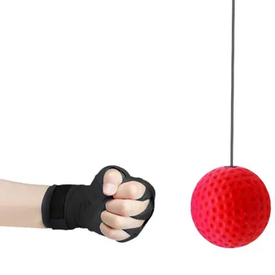 Fight Ball Boxing and MMA Speed Trainer Fight Ball Boxing and MMA Speed Trainer