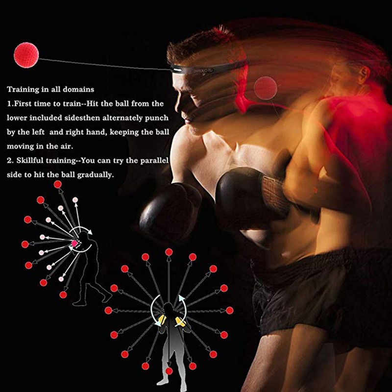 Fight Ball Boxing and MMA Speed Trainer Fight Ball Boxing and MMA Speed Trainer