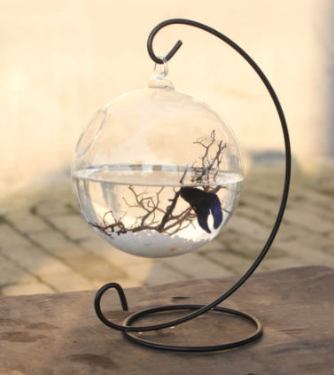 Fish Bowl Vase Hanging Glass Fish Bowl Vase Hanging Glass
