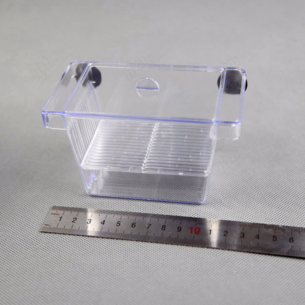 Fish Breeding Box Aquarium Accessory Fish Breeding Box Aquarium Accessory