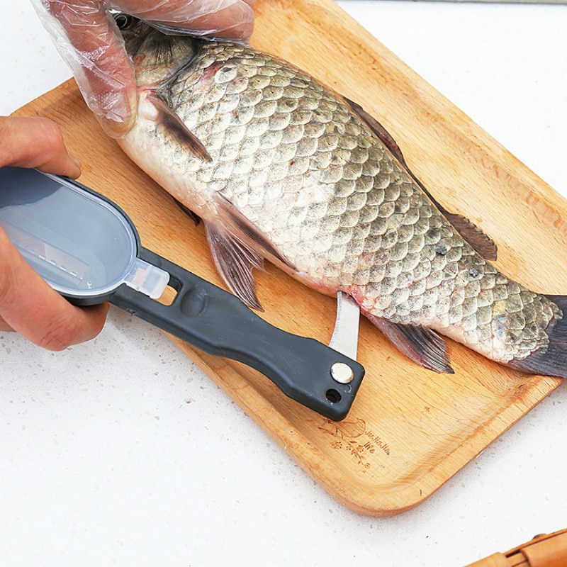 Fish Scale Scraper Kitchen Tool Fish Scale Scraper Kitchen Tool