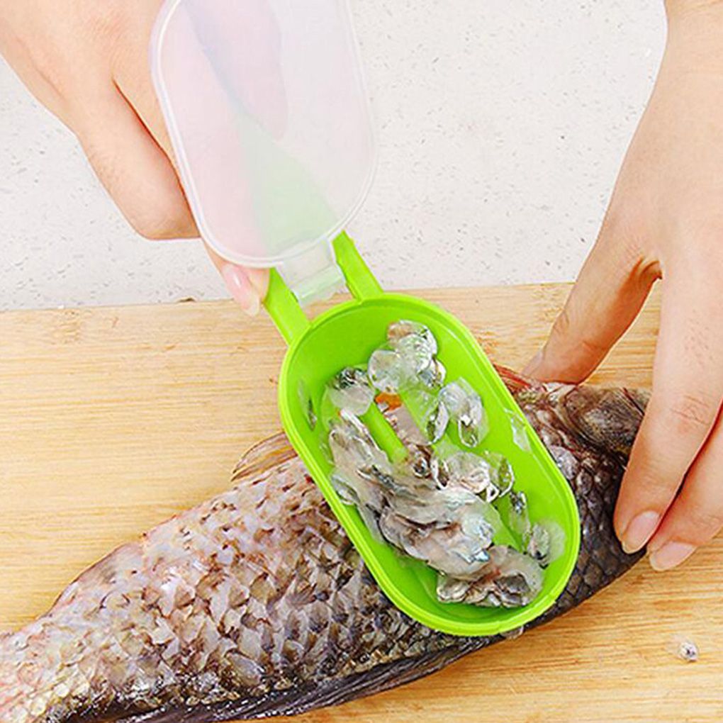 Fish Scaler Tool Fish Cleaning Scraper Fish Scaler Tool Fish Cleaning Scraper