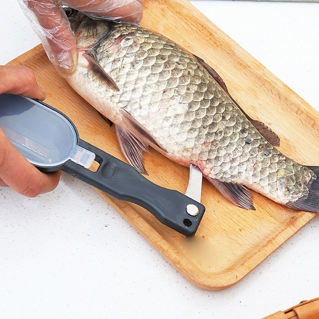 Fish Scaler Tool Fish Cleaning Scraper Fish Scaler Tool Fish Cleaning Scraper