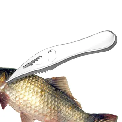 Fish Scraper Stainless Steel Tool Fish Scraper Stainless Steel Tool