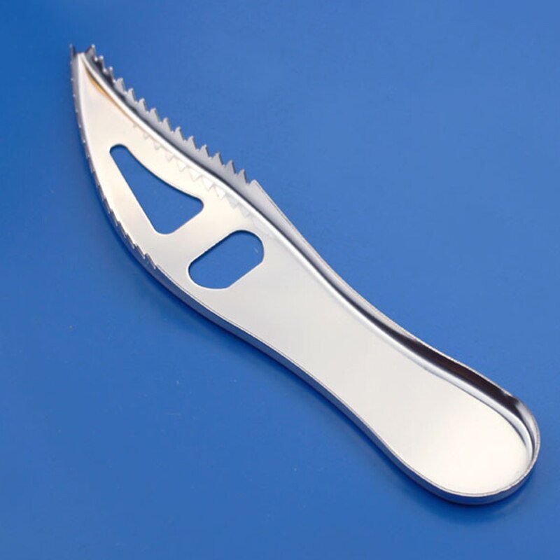Fish Scraper Stainless Steel Tool Fish Scraper Stainless Steel Tool