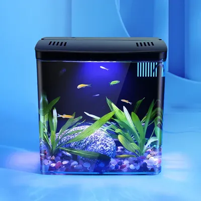 Fish Tank Living Room Small Mini Douyu Tank Household Tabletop Ecological Tank Self Circulating Back Filter Goldfish Fish Tank Living Room Small Mini Douyu Tank Household Tabletop Ecological Tank Self Circulating Back Filter Goldfish