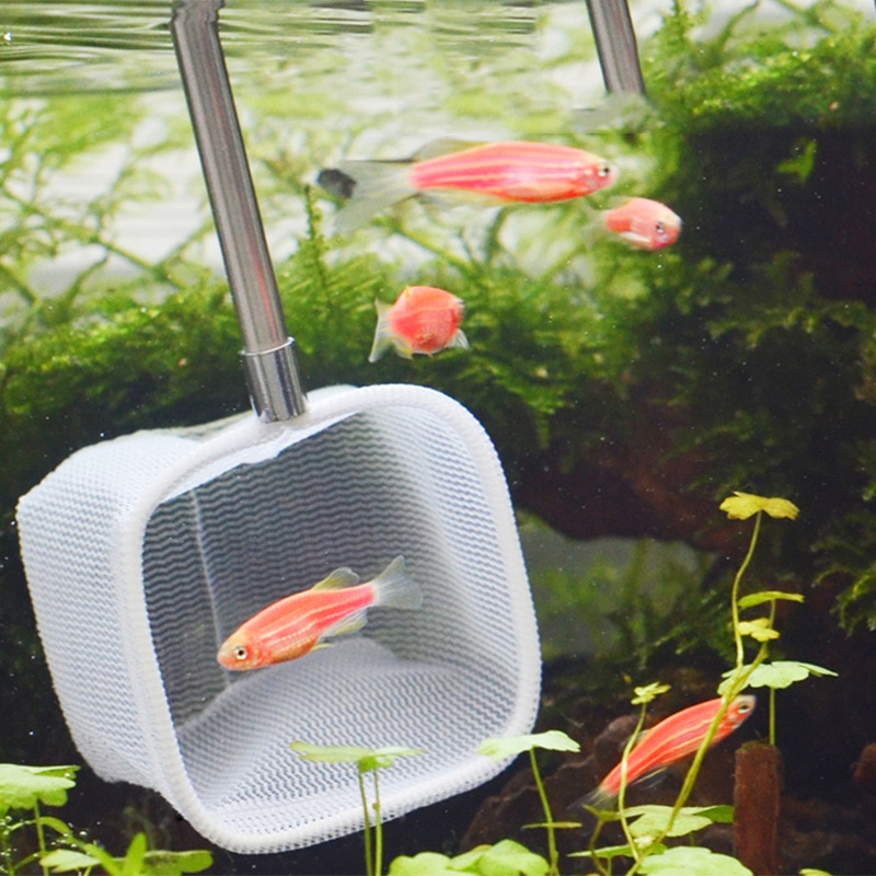 Fish Tank Net Telescopic Mesh Scoop