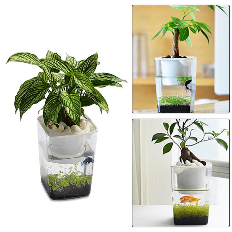 Fish Tank Planter 2 in 1 Plant Pot