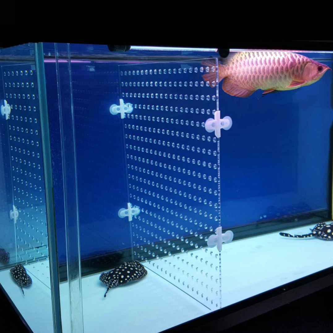 Fish Tank Separator with 4 Suction Cups Fish Tank Separator with 4 Suction Cups