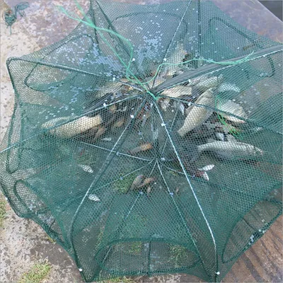 Fishing Net Trap 6-Hole Fish Catcher Fishing Net Trap 6-Hole Fish Catcher