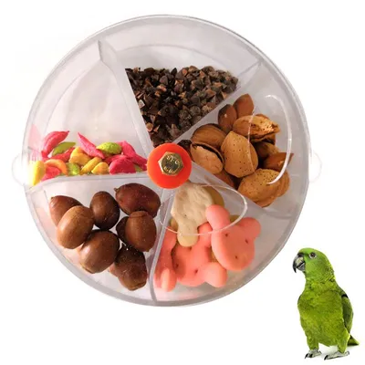 Five Grid Parrot Foraging Toy