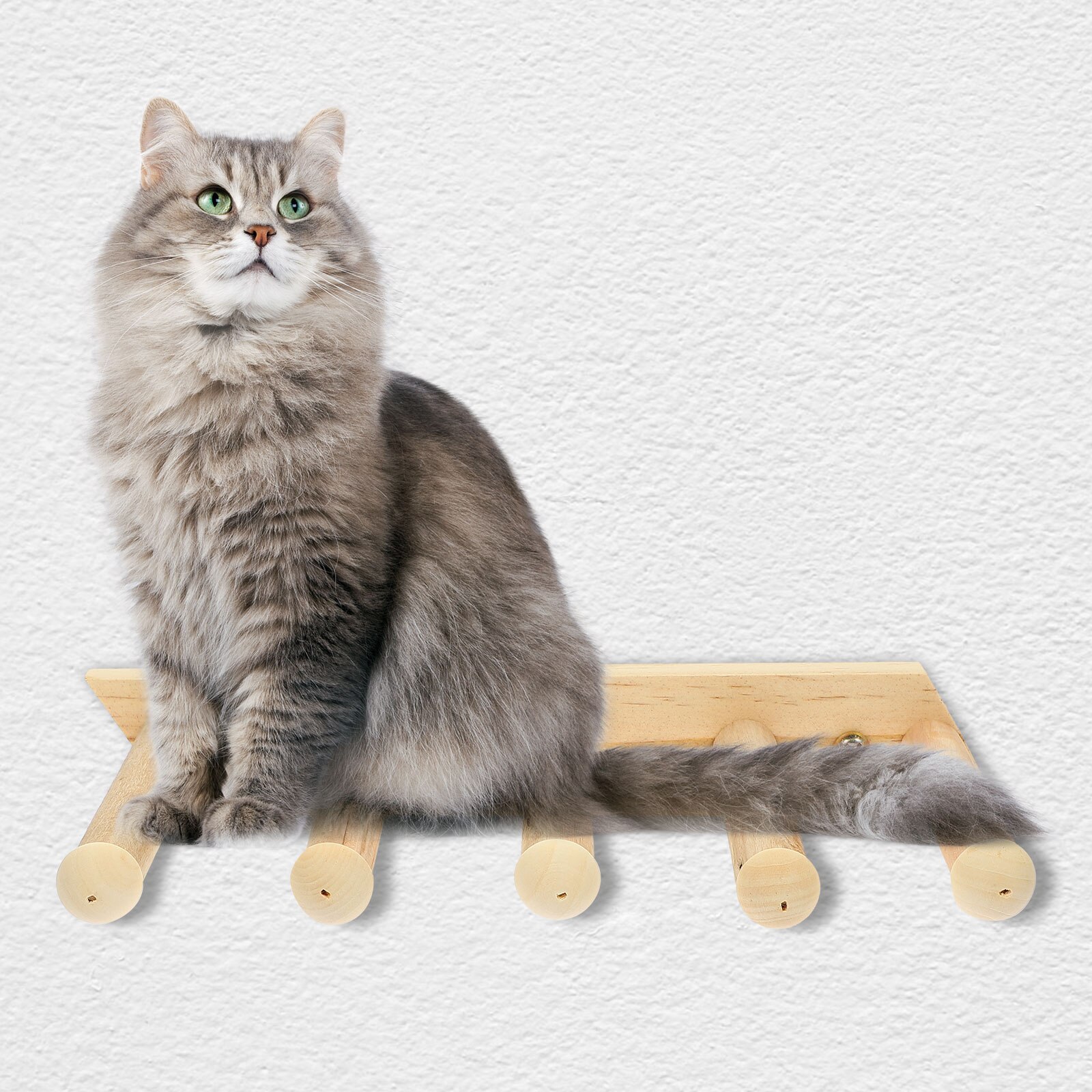 Five Steps Wooden Cat Wall Stairs