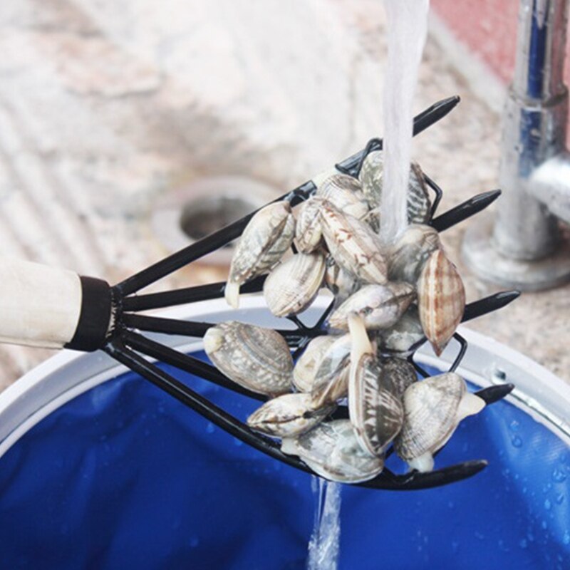 Five Tooth Metal Clam Rake