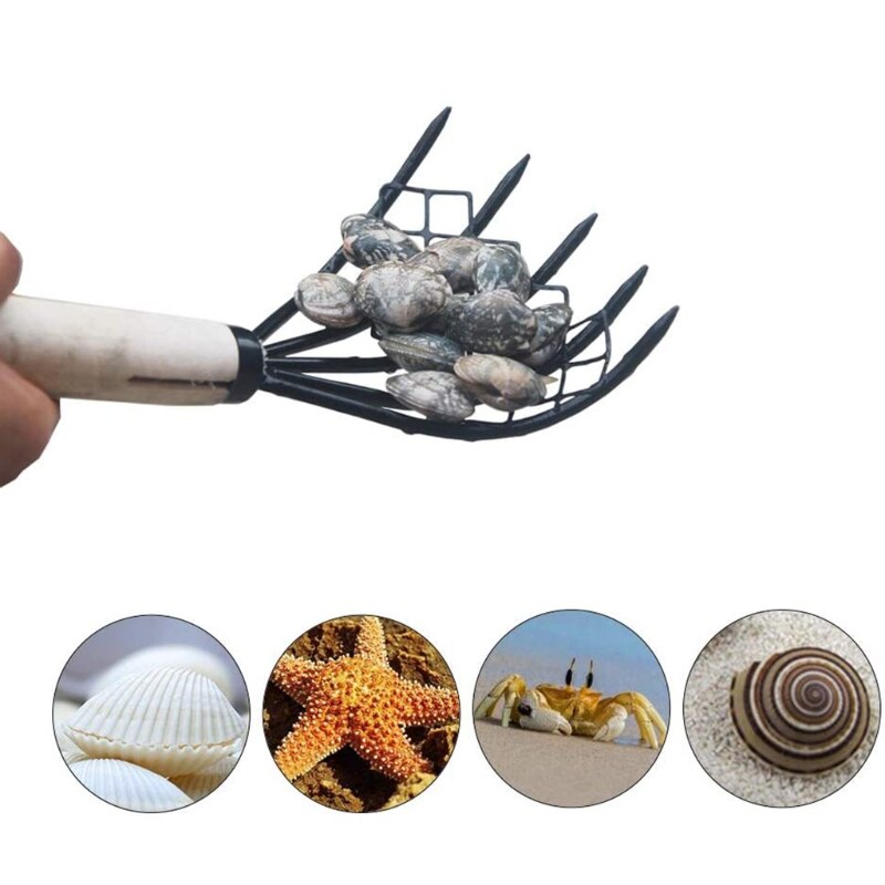 Five Tooth Metal Clam Rake
