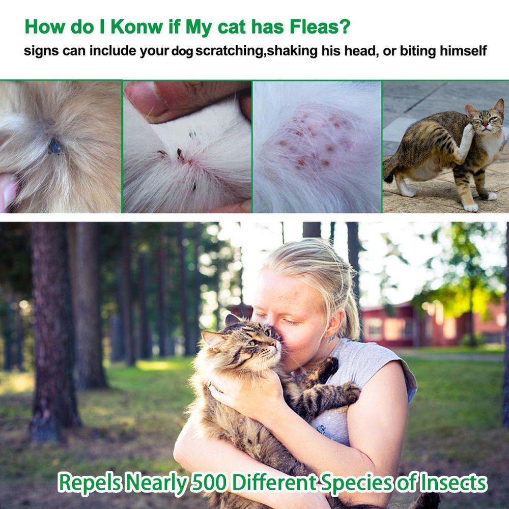 Flea and Tick Collar for Cats 8 Months Protection Flea and Tick Collar for Cats 8 Months Protection