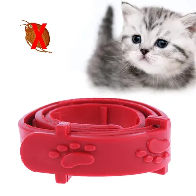 Flea and Tick Collar Pet Supplies Flea and Tick Collar Pet Supplies