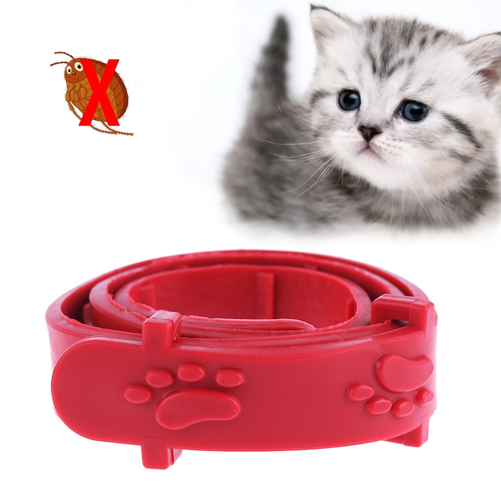 Flea and Tick Collar Pet Supplies Flea and Tick Collar Pet Supplies