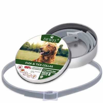 Flea Collar Pet Dog Leash Flea Collar Pet Dog Leash