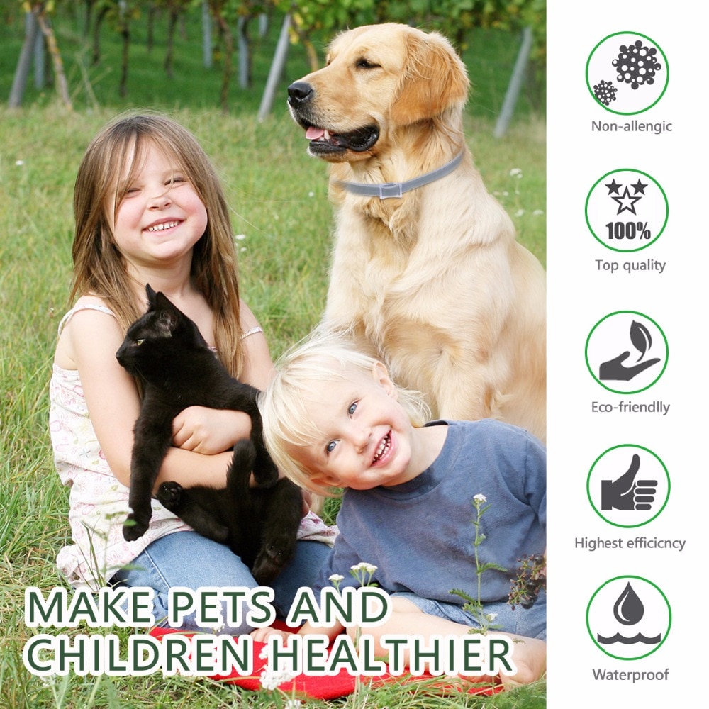 Flea Collar Pet Dog Leash Flea Collar Pet Dog Leash