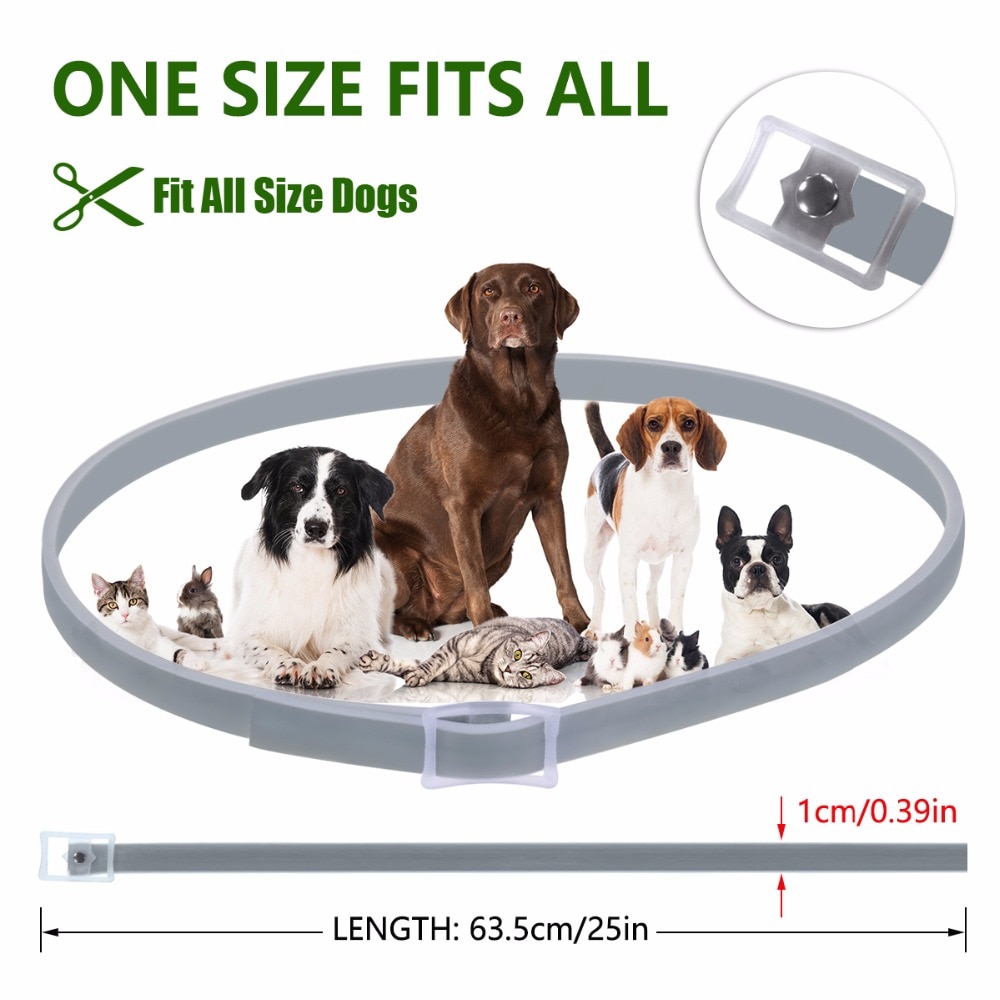 Flea Collar Pet Dog Leash Flea Collar Pet Dog Leash