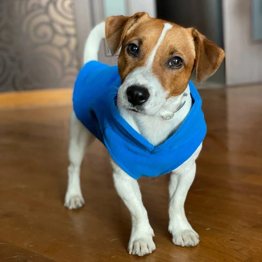 Fleece Dog Coat with D-Ring Fleece Dog Coat with D-Ring