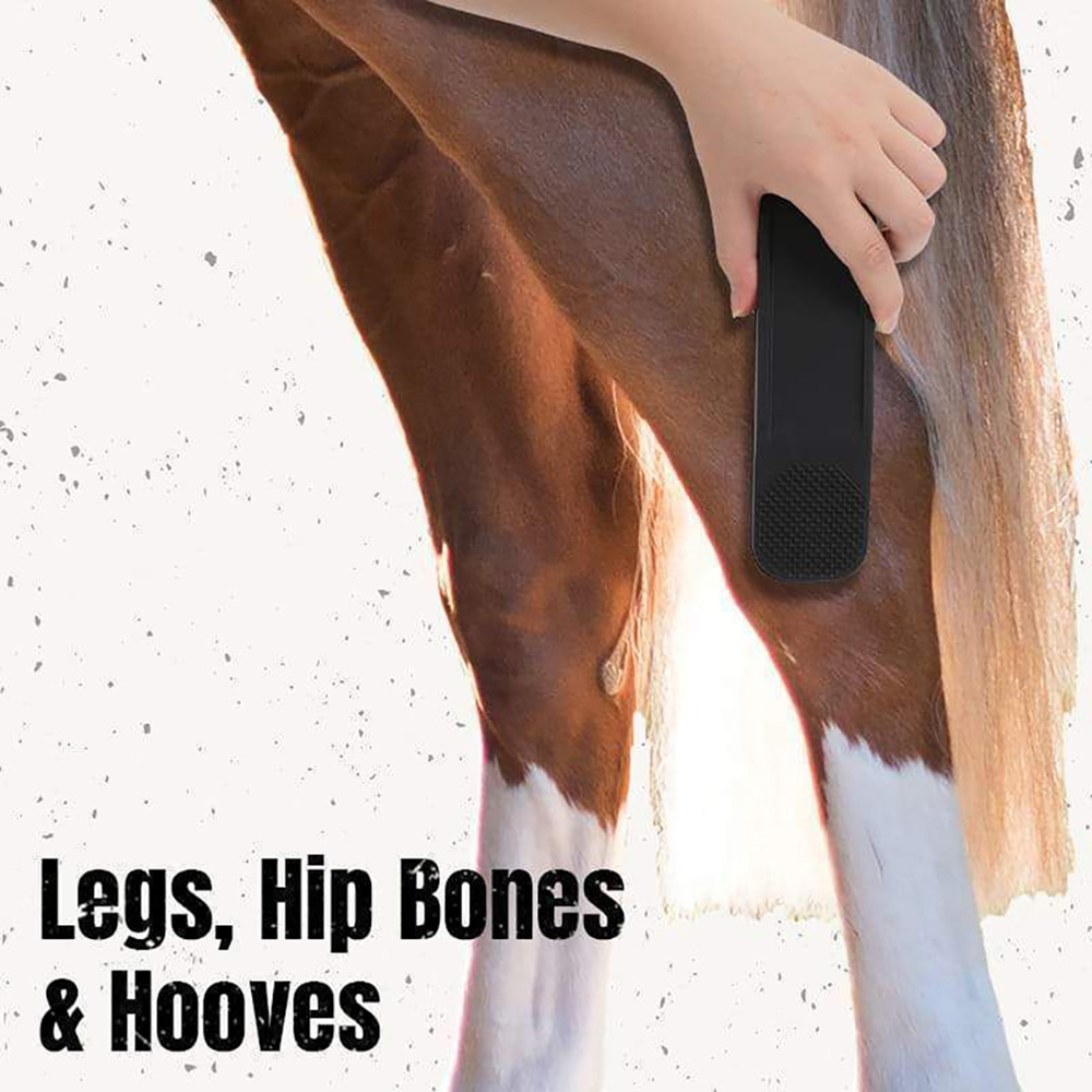 Flexible Plastic Horse Grooming Brush Flexible Plastic Horse Grooming Brush