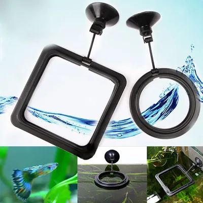 Floating Aquarium Feeding Ring with Suction Floating Aquarium Feeding Ring with Suction