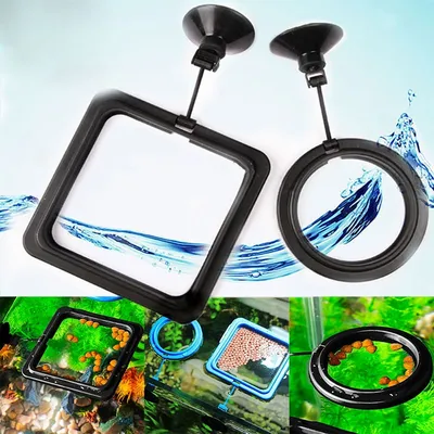 Floating Fish Feeder Aquarium Accessory