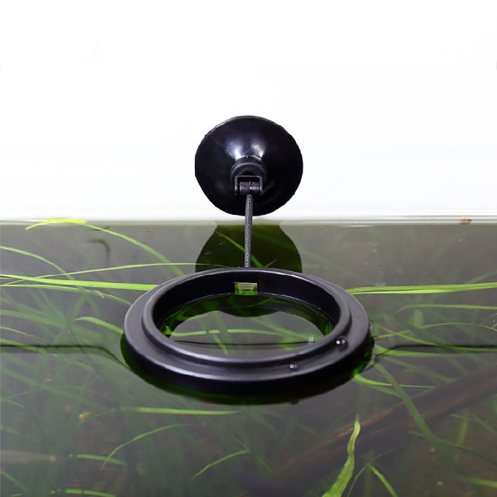 Floating Fish Feeder Aquarium Accessory