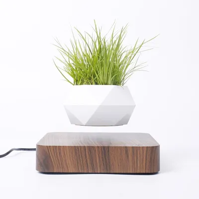 Floating Flower Pot Levitating Planter
