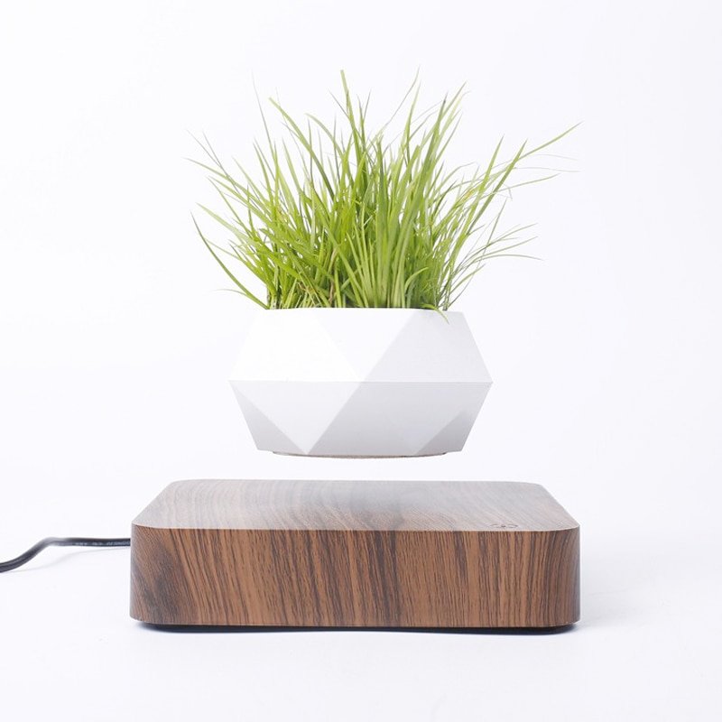 Floating Flower Pot Levitating Planter