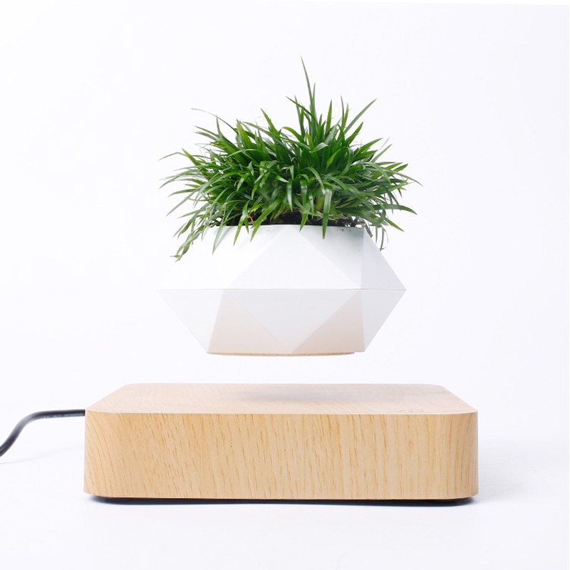 Floating Flower Pot Levitating Planter