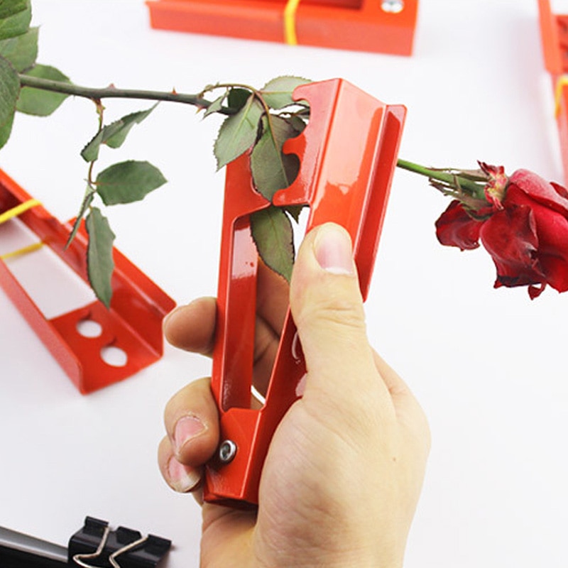 Flower Leaf Stripper and Thorn Remover