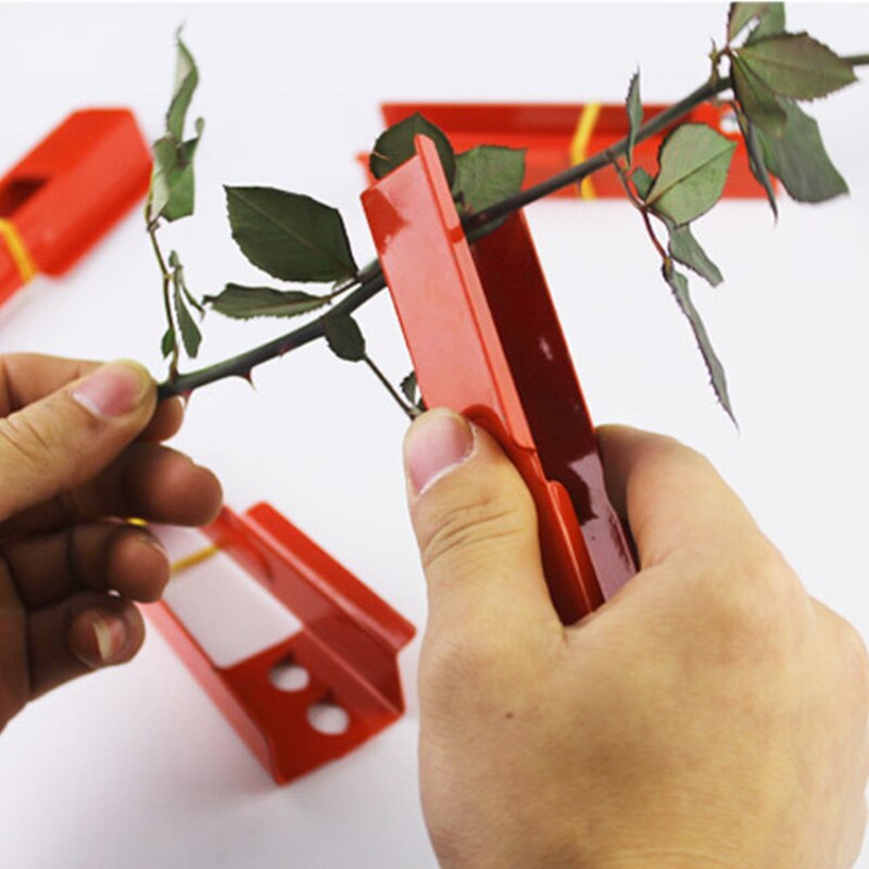 Flower Leaf Stripper and Thorn Remover Flower Leaf Stripper and Thorn Remover