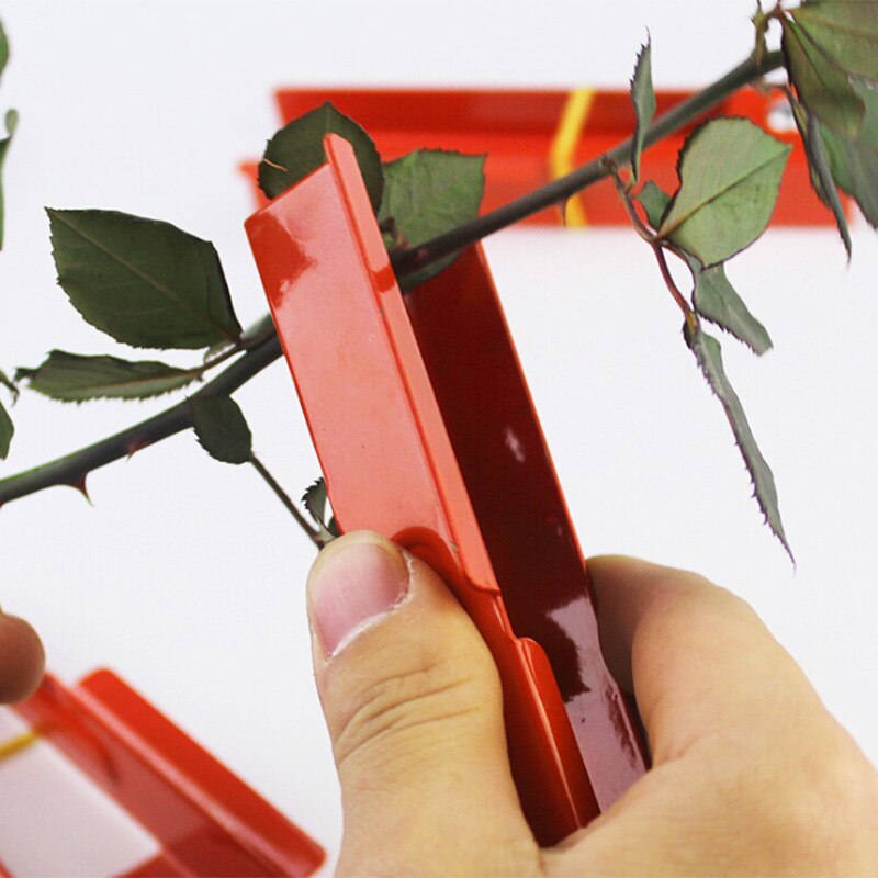 Flower Leaf Stripper and Thorn Remover Flower Leaf Stripper and Thorn Remover