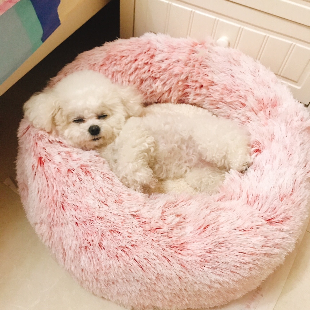 Fluffy Dog Bed Soft Pet Sofa Fluffy Dog Bed Soft Pet Sofa