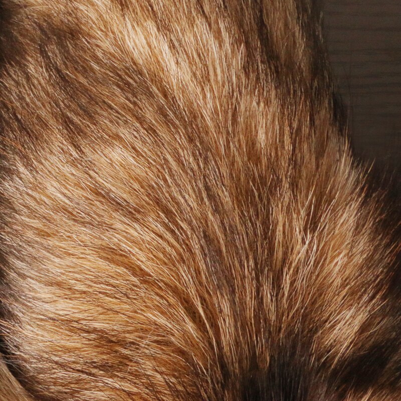 Fluffy Fur Fox Tail Keychain Fluffy Fur Fox Tail Keychain