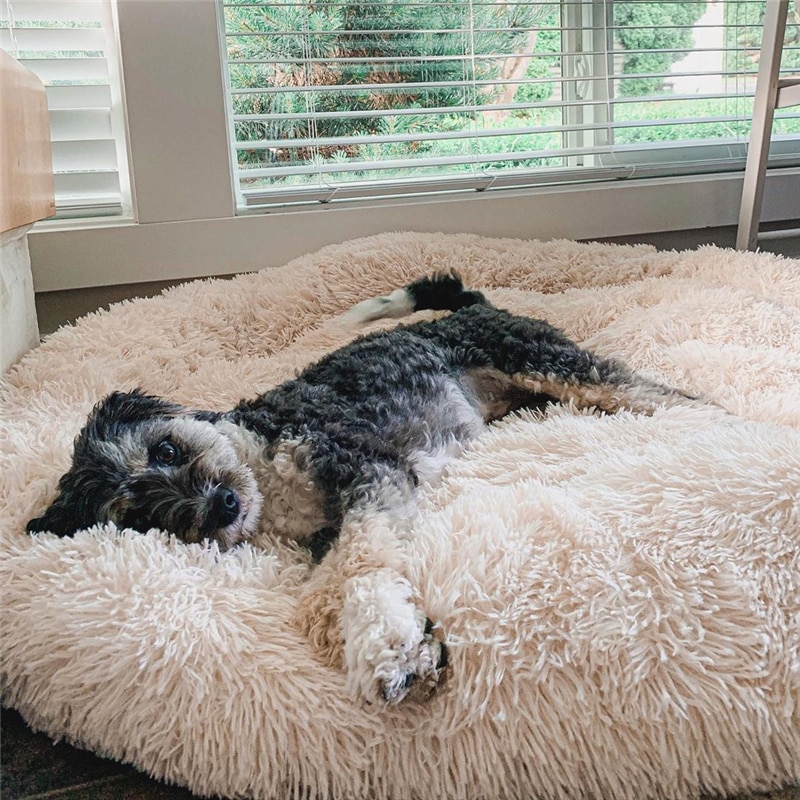 Fluffy Pet Bed Soft Round Pet Bed Fluffy Pet Bed Soft Round Pet Bed